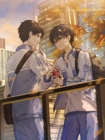 桃花源聚合破解版盒子